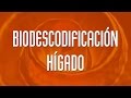 HIGADO - BIODESCODIFICACIÓN