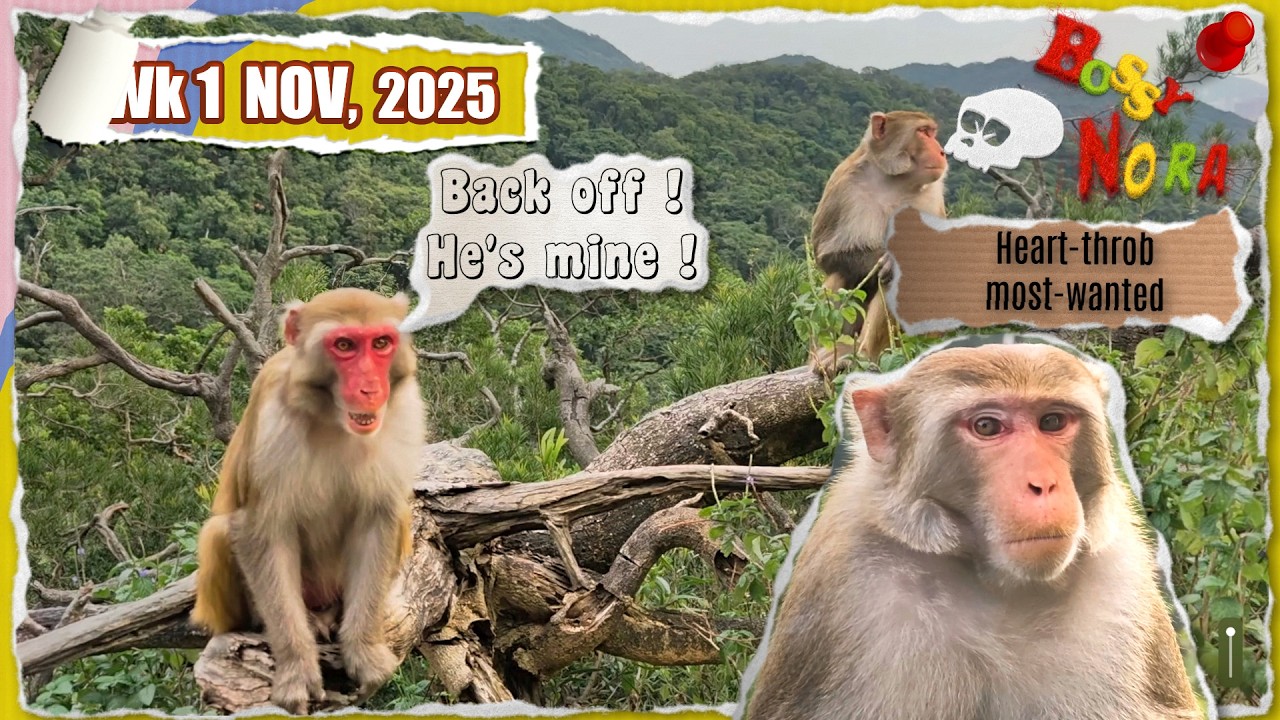 An intriguing train of events 🧐