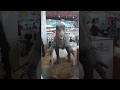 ماي بيبي