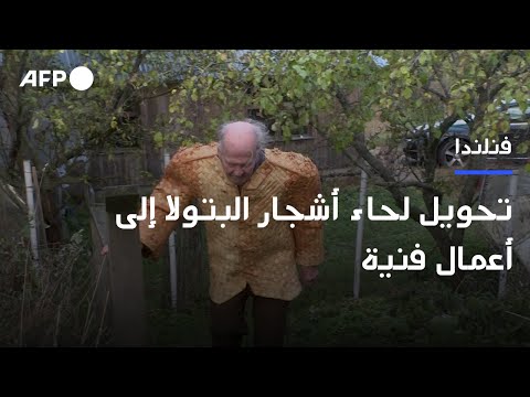 فنان يحو ل لحاء أشجار البتولا إلى أعمال فنية في فنلندا 