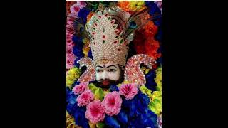 naino ki khidki se pal pal tujhko main nihari#jai shree shayam baba