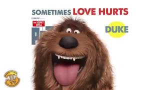Meet Duke - The Secret Life of Pets Meet Duke - The Secret Life of Pets