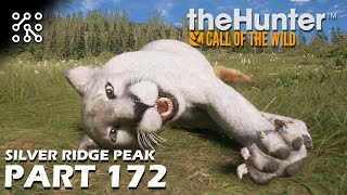The Hunter: Call of the wild CZ | Kolik ulovíš za 30 minut? - #172 | Česky