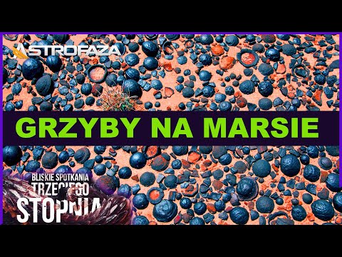 Naukowcy znaleźli grzyby rosnące na Marsie. Tyle, że nie.