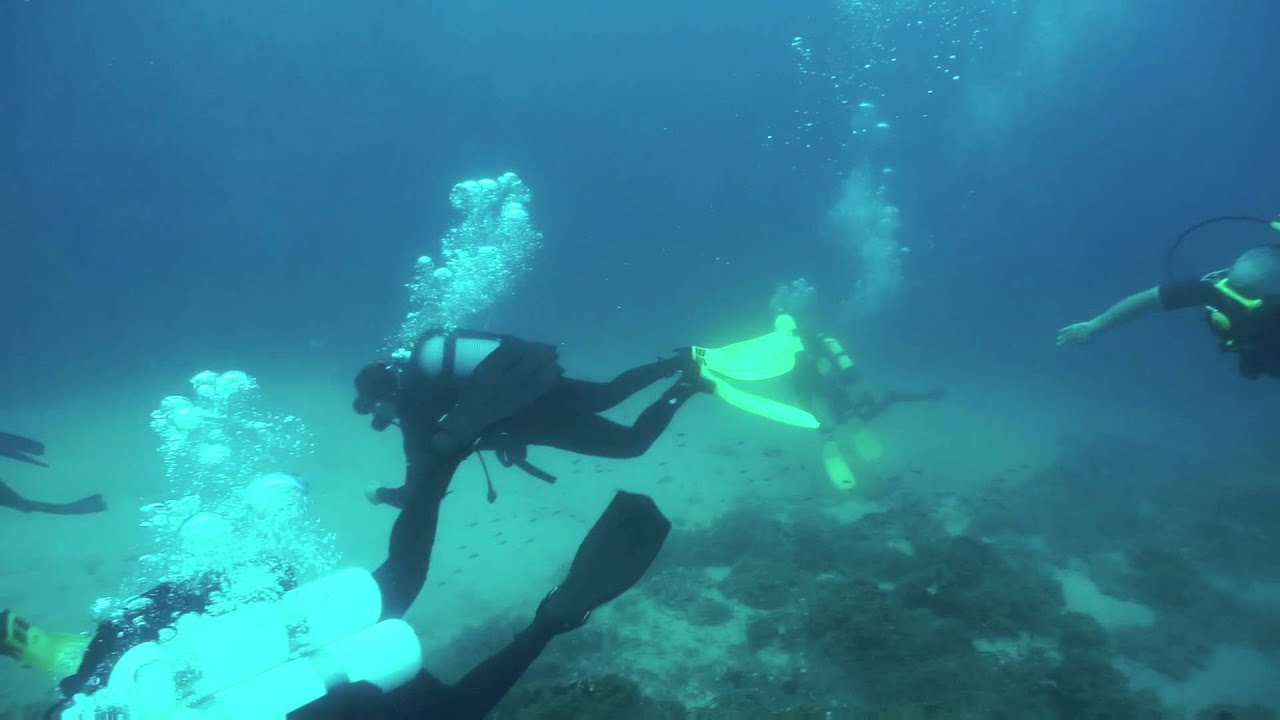 NGUE Northern Greece Underwater Explorers @ Akti Kalogrias Sithonia ...