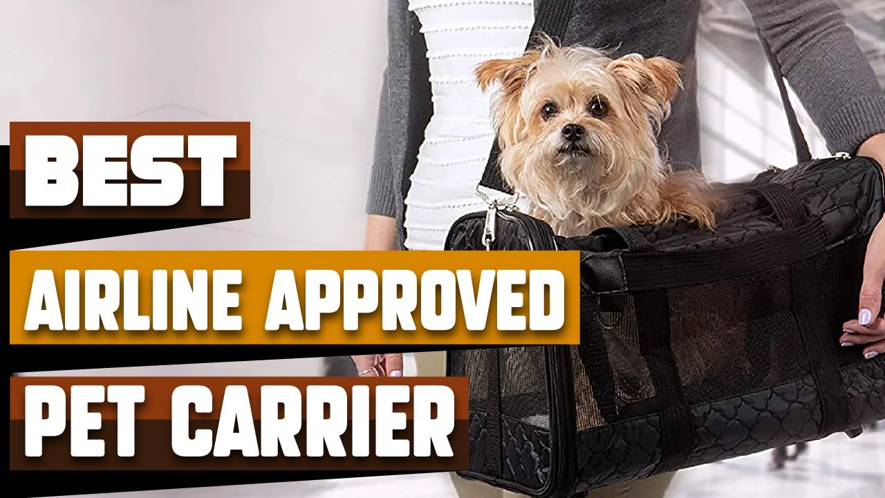 The 11 Best Airline-Approved Pet Carriers 2023