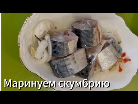 Маринуем скумбрию в масле с луком. Это очень вкусно! Съедаем все! И лук, и масло !!!