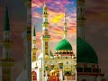 pyara Nabi hai #short video #Islamic shorts #superhit beautiful #YouTube status