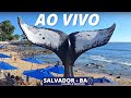 Praia da barra  farol da barra  praia do porto da barra  salvador bahia brasil