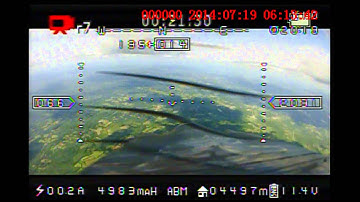 Apprentice FPV W/osd