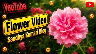 Flower Video | Garden Vlog | Tutorial | YouTube Creator | Beautiful | Nature | Sandhya Kumari Blog 🌺