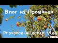 День перед Пасхой с пением птиц/provenceallochka vlog