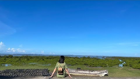 Du lịch khám phá Trà cổ móng cái