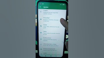 Cómo Evitar el En Línea y Última Conexión en WhatsApp #hacks #tips #yenianferreira #whatsapp