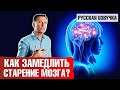 СТАРЕНИЕ МОЗГА: Как замедлить? Что мешает этому? (русская озвучка)