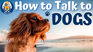 Understanding Your Dog’s Language #115