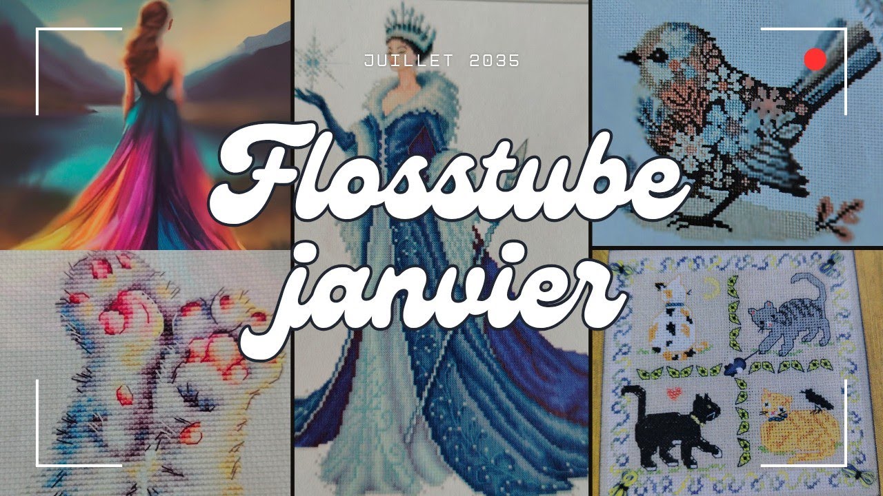 DEJA 6 PROJETS TERMINÉS 😱 #flosstube #broderie #pointdecroix #crossstitch #embroidery 
