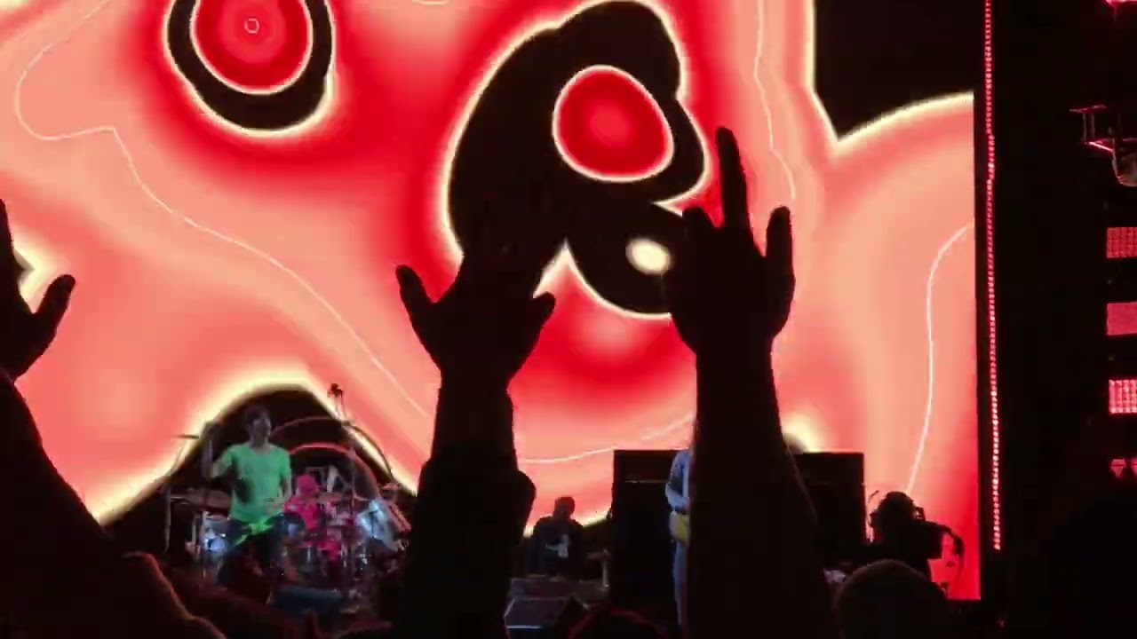 レッチリ 日本ツアー 2023年 黒XL RED HOT CHILI PEPPERS tour2023 LIVE IN JAPAN-OSAKA - YouTube