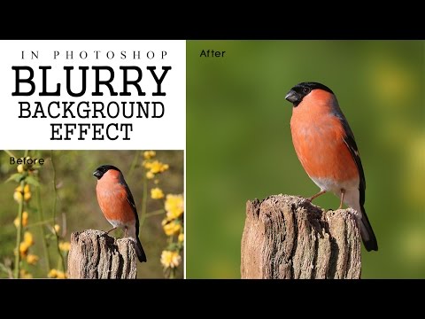 Photoshop Tutorial - Focus Area Selection | Blurry Background Effect