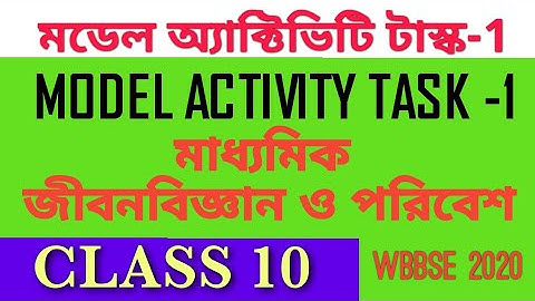 Model activity task class 10 Life Science | task-1