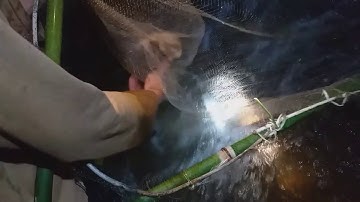 SỐNG VỚI NÚI RỪNG | TẬP 10 | BAN ĐÊM ĐI BẮT CÁ SUỐI