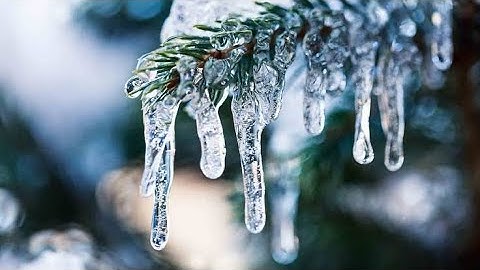 Solids, Liquids and Gases class 4| Chapter 13| Science Now| Part 2| CBSE