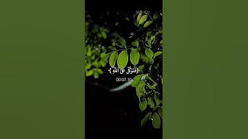 اجر لي ولكـم 💫🌷#كلير_تحبكم#قران_كريم#اكسبلور#راحة_نفسية#لايك#حالات_واتس#سورة_النمل#اسلام_صبحي