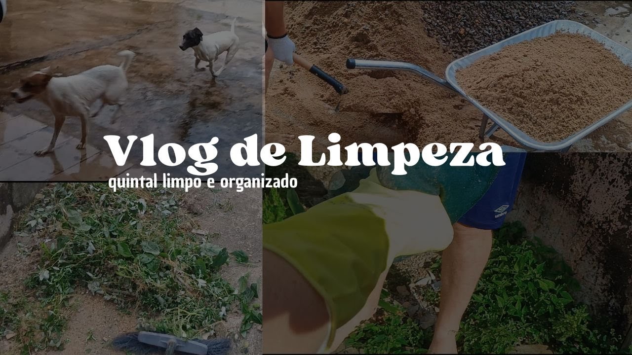 Vlog de Limpeza/Quintal limpo e organizado/ pets felizes na chuva