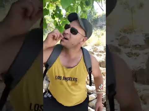 قرى فلسطينيه قديمه تراثية 5