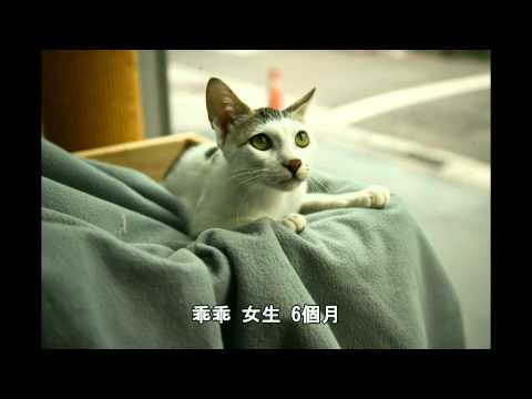 不再流浪2011年10月資料