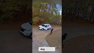 Father Risks Everything to Protect His Daughter! 😱🐕