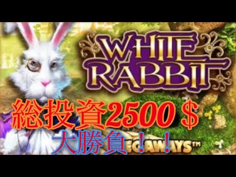 White Rabbit Casino
