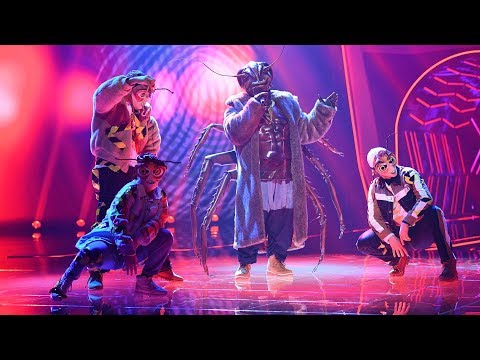 'The Masked Singer'-Kakerlaken-Aus: