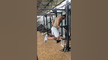 Dips on parallel bars - chest, triceps and shoulder bodyweight exercise