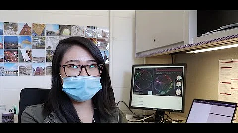 VISE Project Vault - Nhung Hoang