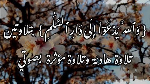 { وَٱللَّهُ يَدْعُوٓاْ إِلَىٰ دَارِ ٱلسَّلَٰمِ } بتلاوتين تلاوة هادئة وتلاوة مؤثرة #بصوتي
