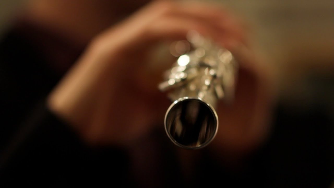 Ofer Pelz-Convergence (2010), played by Roy Amotz