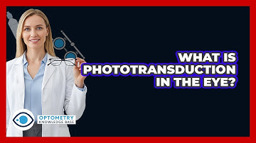 What Is Phototransduction In The Eye? - Optometry Knowledge Base