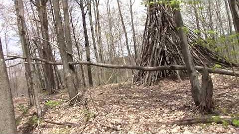 A walk through the wallow...  #projectgoandsee