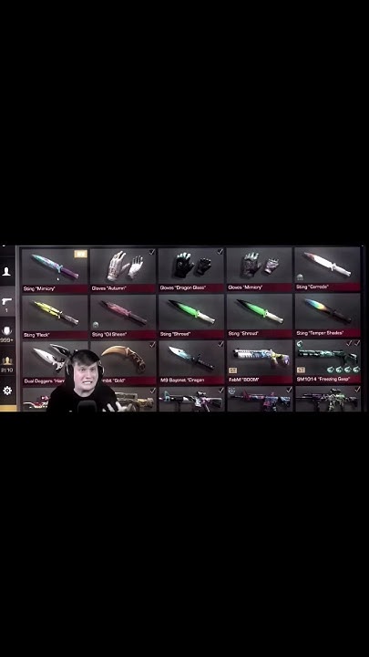 РАЗРАБОТЧИК ДАЛ ВЕЛЕ СТИНГ МИМИКРАЙ #standoff2 #standoff #веля # ...