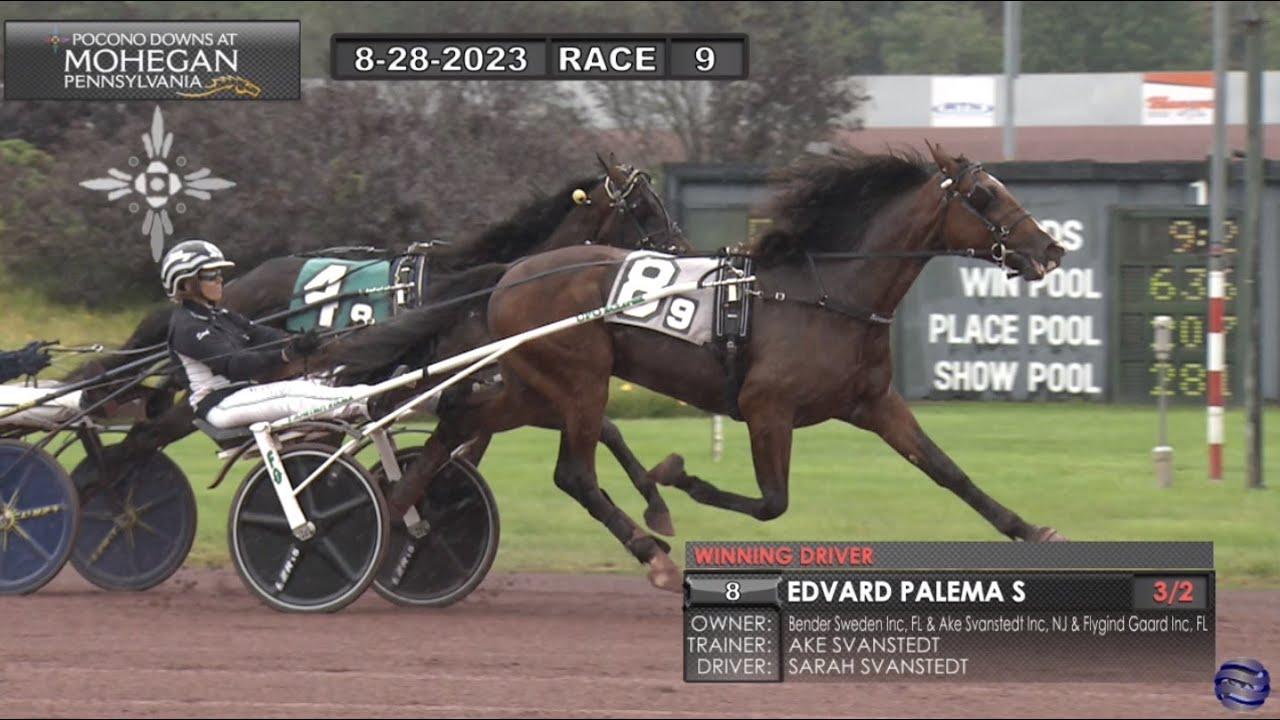 2 year old edvard palema readly express sarah svanstedt wins in 1 