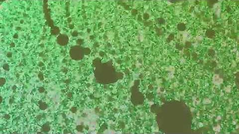 Elevator Ride through a 3-Sphere Nr.4