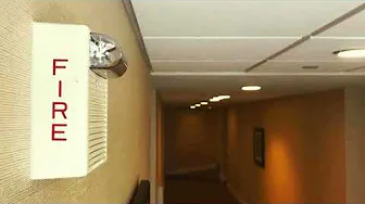 Wheelock AS Fire Alarm for 1-Hour | Loud Sound Effect!