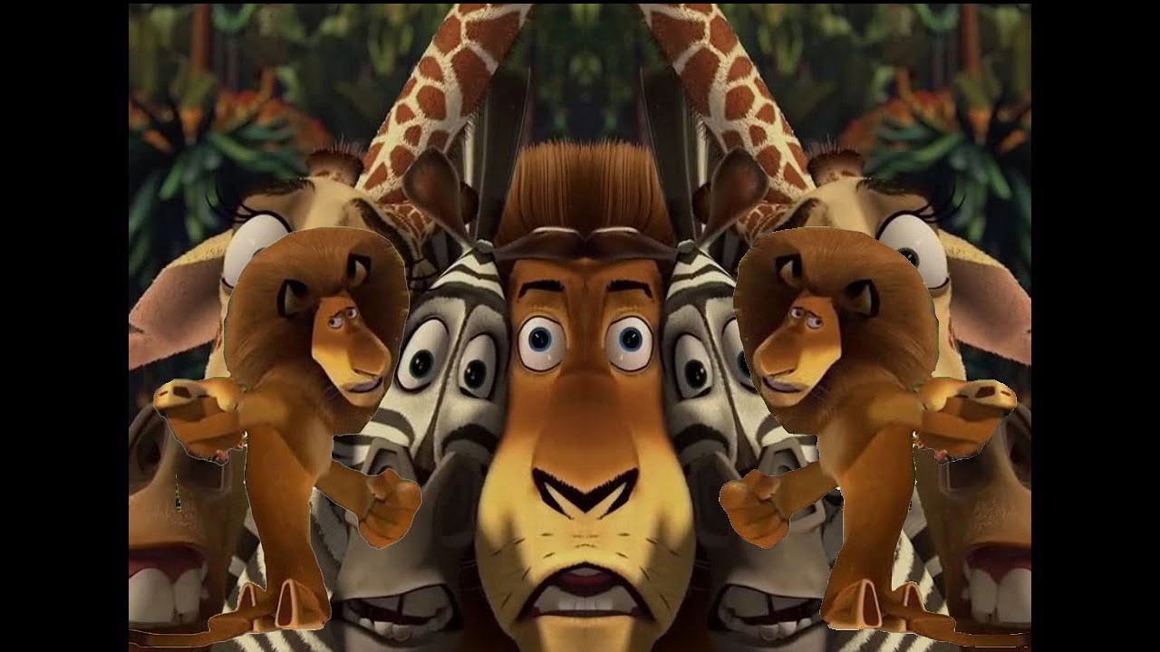 YTP - Magadascaac [ITA]