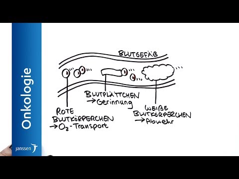 Video: Unterschied Zwischen Hämatopoese Und Erythropoese