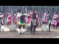 Traditional Swazi Dance