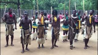 Traditional Swazi Dance