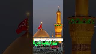 Wada Nabi Se Aisa Nibaya hussain...#allha #muhammadﷺ #madina YouTube shots #Reels2026  #ShortsViral