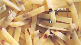 TOMRA 5B French Fries Sorting