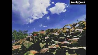 Junior Jack - My Feeling (Kick N' Deep Mix) Slow & Chopped Reverb